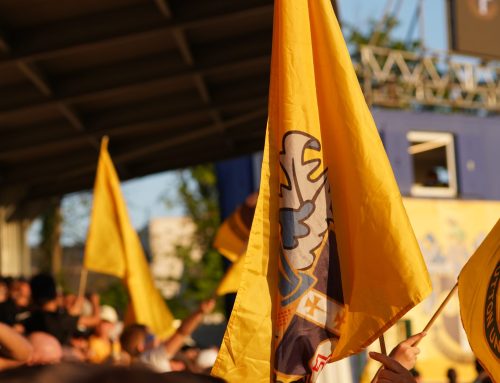 Have Your Say: Sutton United End-of-Season Fan Survey