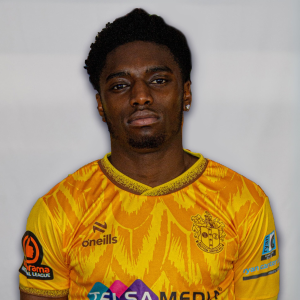 David Ogbonna