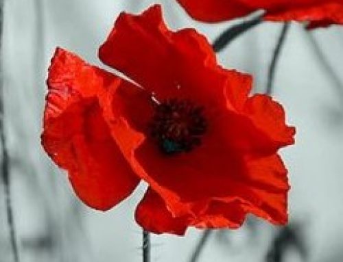 Remembrance service this Saturday