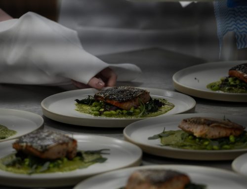 Hospitality: York City (H)