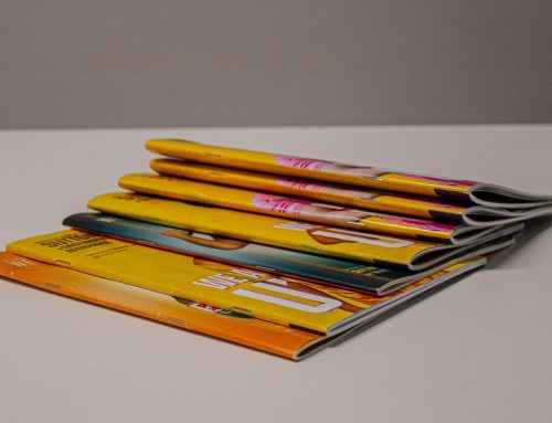 New: Limited Edition Physical Programme For Shrewsbury Match