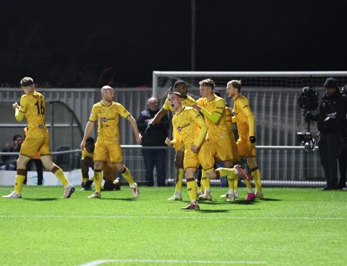 Goal of the Month: December Vote Open