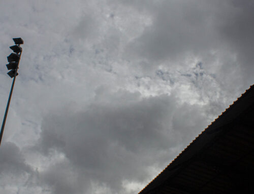 Events: St George’s Day Quiz With Nici Meekings